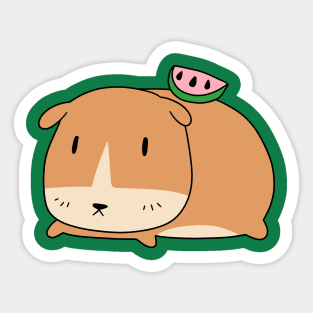 Watermelon Guinea Pig Sticker